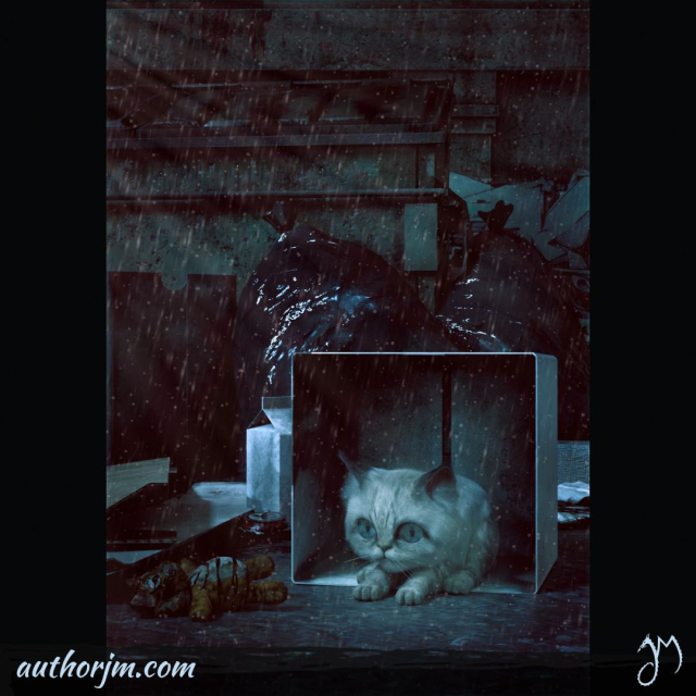 A little cat in a box in a back alley.