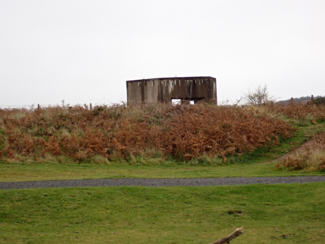 A WWII concrete pillbox silhouette against a gey sky. Grass and Autumnal tall herb vegetation in the foreground 