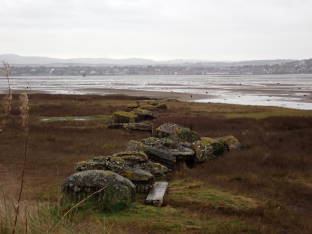 A line of concrete blocks, part of tank trap passive coastal defences, entering the salt Marsh near Tayport. Tidal flats of the Tay estuary beyond.