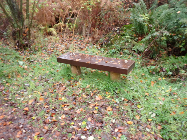 A wooden bench in Tentsmuir Forest