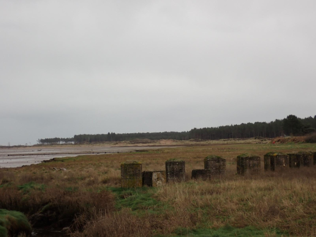 View looking East from Tayport towards Tayport Heath. In the foreground grass, with the tank trap barrier behind. On the left tidal flats. The salt Marsh behind the tank trap. In the far distance the sand dunes of Taport Heath with conifer plantations behind forming the skyline.