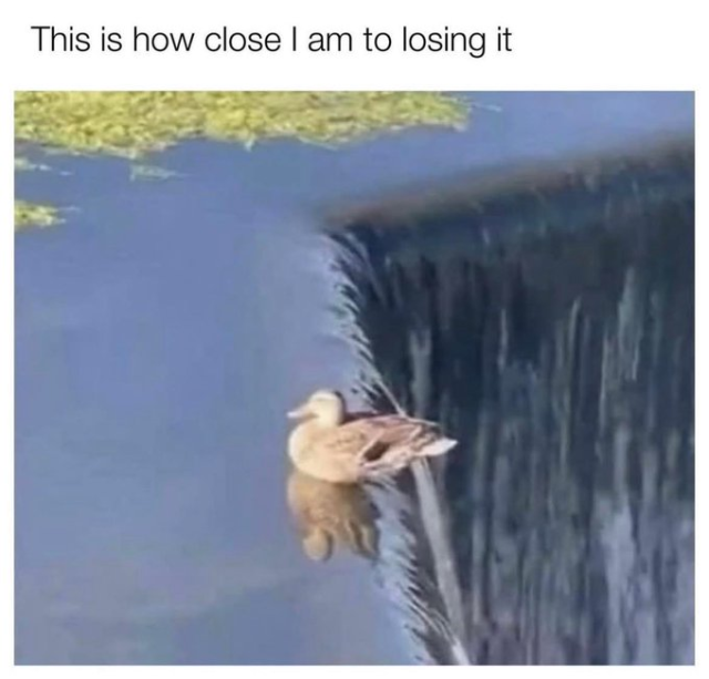 A meme with the text, "This is how close I am to losing it" at the top. Below the text is a low-quality photo of a brown duck floating calmly in blue water, positioned extremely close to the edge of a small waterfall, just before the water cascades down.