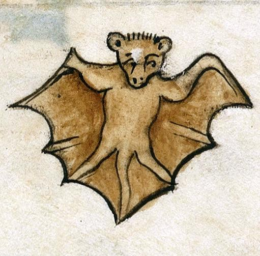 Bat. Pabenham-Clifford Hours, England ca. 1315-1320. Cambridge, Fitzwilliam Museum, MS 242, fol. 52r.
#medieval #MedievalArt