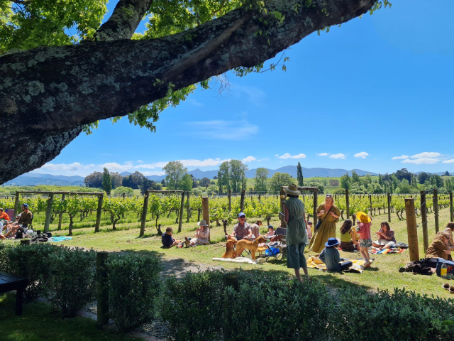 Short description. You're looking at people picnicking amongst grape vines with trees and mountains in the distance. Long description: You're standing under a big shady tree with a lichen-coated sturdy branch overshadowing the picture going diagonally from left to right. Beneath the branch is a low hedge with small pointy leaves, and beyond that hedge are a bunch of people of all ages, makes and models spread out on a motley assortment of picnic rugs. There are dogs. This is a kiwi gathering. There are always dogs and they are good dogs. The grass they are sitting on is newly mowed and the waft of sun warmed fresh cut grass is in the air. The vines have big green leaves. The trees beyond the vines are an assortment of all makes and models. Picture Hobbiton. I know, it's a cliche but it kind of fits here for convenience. Beyond those trees you can see the shadow of a mountain range stretched luxuriously out. Imagine a coolish breeze coming off those mountains, because it's New Zealand and the weather is gonna get you. The sound you're hearing is most likely a chill afrobeat, people laughing and chatting and the odd small human explaining EMPHATICALLY to her friends how to use a digger. 
