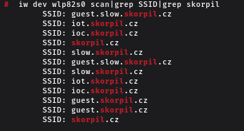 Screenshot of a command line tool showing 12 wifi SSIDs all ending with skorpil.cz:
