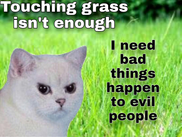 Photo of an angry looking white cat in a field of grass with a caption that says:

Touching grass isn't enough.
I need bad things (to) happen to evil people.