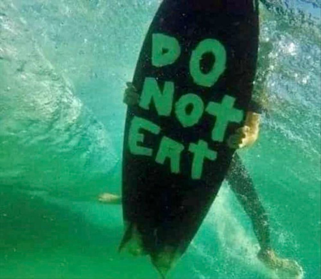 Underwater shot of someone holding a surfboard with the words "DO NOT EAT" written on it.