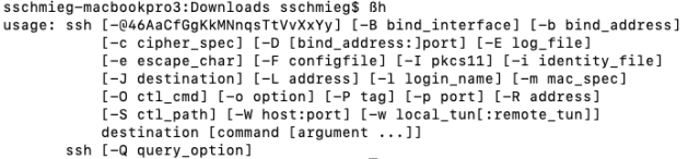 A screenshot of a shell (on Mac) executing the program ßh. Due to normalization this gets translated to ssh, and indeed the shell calls the ssh binary.