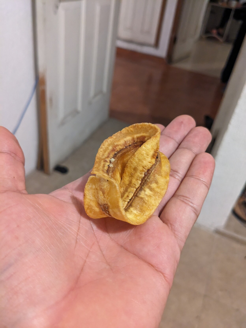 un plátano frito con la perfecta estructura de la cinta de Möbius