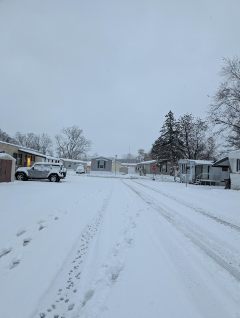 a picture showing how snowy it is here in Holt Michigan. a very detailed description is in the main part of the post.
