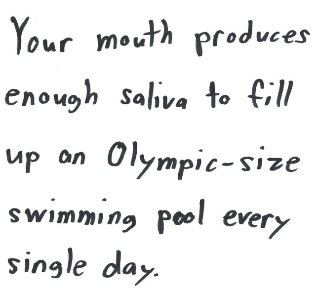 Your mouth produces
enough saliva to fill
up an Olympic-size
swimming pool every
single day.