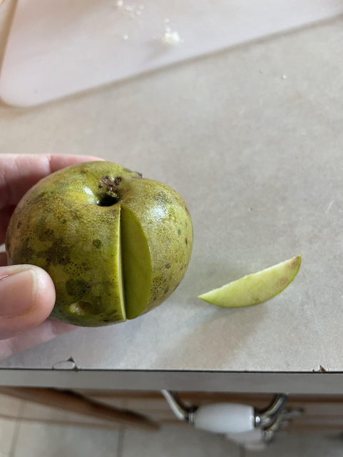 green orleans reinette apple with a slice out of it