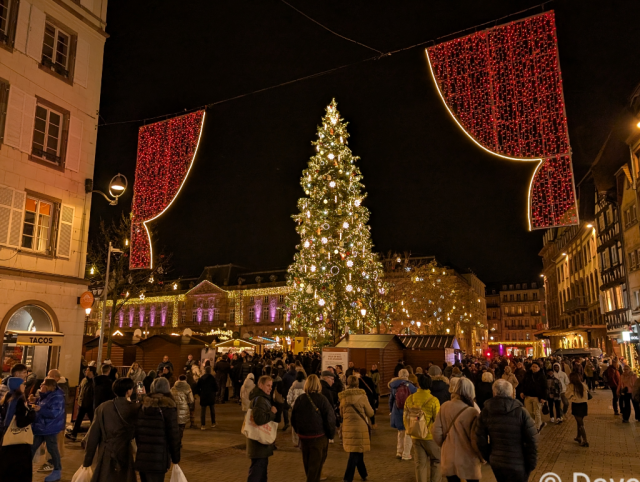 Christmas lights and a huge Christmas tree.