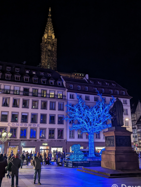 A tree of blue lights. An illuminated cathedral spire reaches into the dark sky.