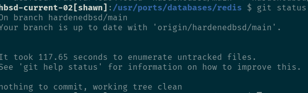 Screenshot showing `git status` taking 117.65 seconds.