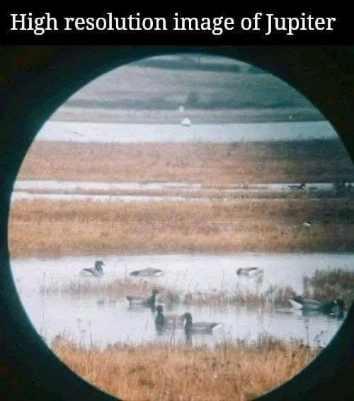 The image is titled: High resolution image of Jupiter

But it’s neither high resolution nor is it an image of Jupiter. 

The image is of a wetland with patches of water and water reeds. There’s ducks in full view. 

Innit. 
