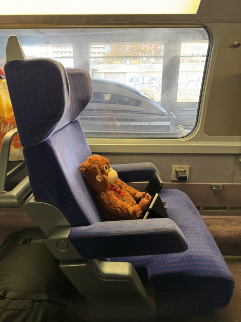 Wendy the DBJUNGLESKOG sat in a first class single seat on the top deck of a TGV Euroduplex, playing on their tablet.

Through the window can be seen the platforms at the as-yet-unopened Barcelona-La Sagrera station, with the front of a Renfe Series 103 parked at the platform.
