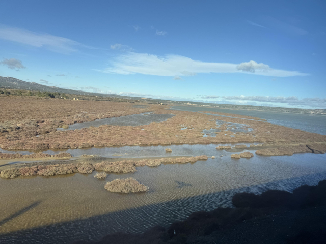Landscape view of Marshes