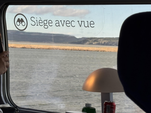A train window with a decal that says “Siège avec Vue” (seat with a view) on it, and a lamp in front of it. Through the window you can see some of the marshes…
