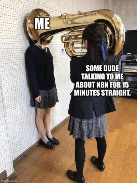A girl in school uniform stands against wall completely covered by the exit pipe of a big brass instrument which held by another girl.

The girl at the wall has "ME" written close to her in big white letters. 

The Girl holding the brass instrument had the text "SOME DUDE TALKING TO ME ABOUT N8N FOR 15 MINUTES STRAIGHT".