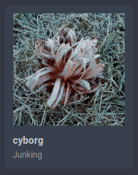 Cover art for the album "cyborg", by Junking