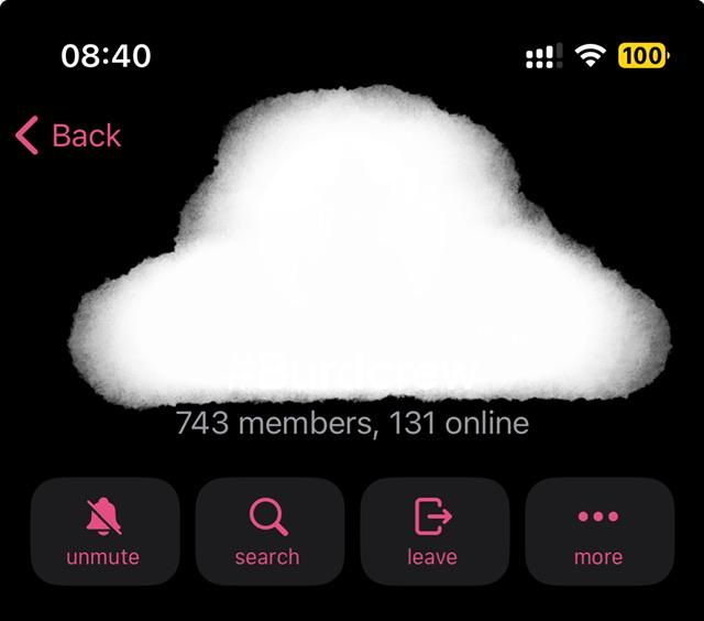 Censored telegram group details page, showing 743 members, 131 online