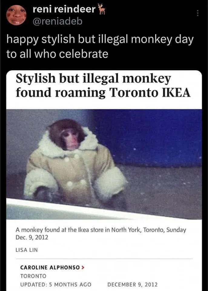 happy stylish but illegal mokey day to all who celebrate.

a rizzed up monkey in that fine shi coat walking around ikea