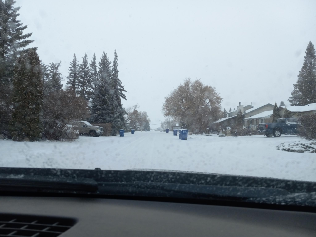 A view looking along a road between houses, taken from inside a car.  There's so much snow on the road that the only way you can tell it's a road is there is a gap between houses and trees, and garbage cans in 2 parallel lines along the road.    The sky is white and the same colour as the snow on the ground.