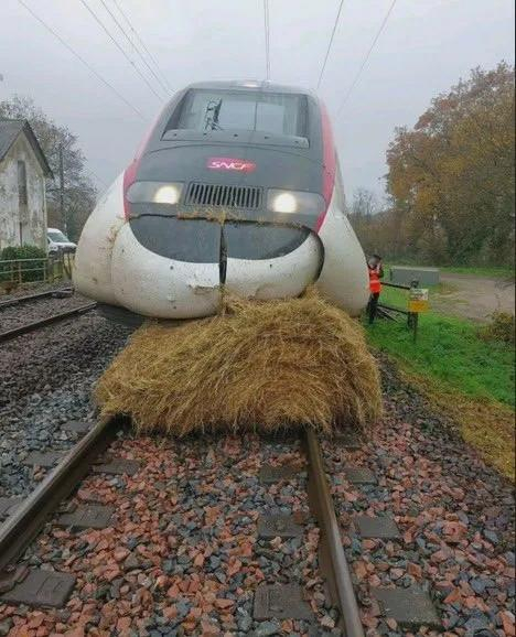 A French high speed train stopped in its' tracks by a hay-bale... (A TGV hits a bale of straw, traffic interrupted between Nantes and Le Croisic, November 27, 2024)
