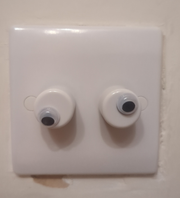Two-gang dimmer switch with an off-centre googly eye on each knob.