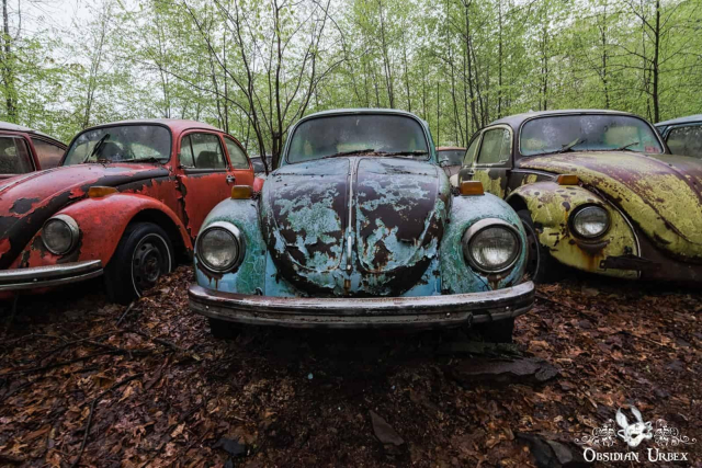 blue red and yellow retro VW Beetle cars, rusting in the forest