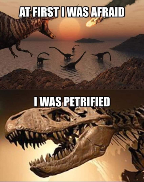 top panel: (some dinosaurs and an asteroid about to hit the Earth) at first I was afraid 

bottom panel: (fossilized dinosaur) I was petrified 

