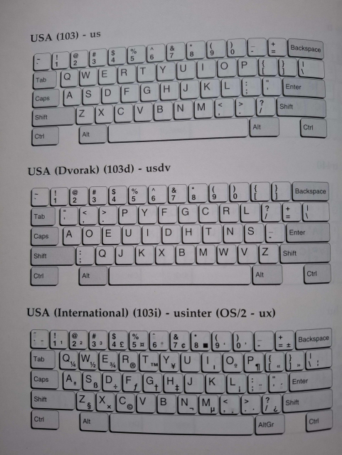 Drei Tastatur-Abbildungen:
USA (103)
USA (Dvorak) (103d)
USA (International) (103i)