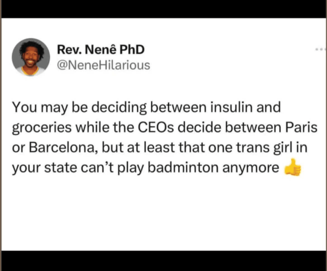 A screenshot of a tweet by Rev. Nenê PhD (@NeneHilarious). It reads: “You may be deciding between insulin and groceries while the CEOs decide between Paris or Barcelona, but at least that one trans girl in your state can’t play badminton anymore,” followed by a thumbs-up emoji.