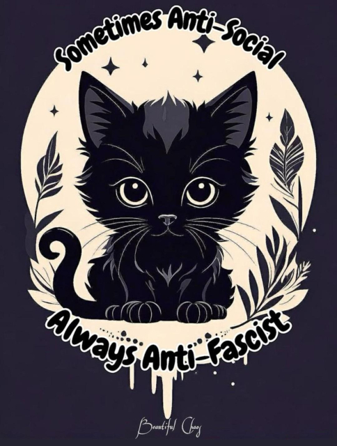 Drawing of a black cat sitting in front of a moon, which is on a dark purple background.  Writing above and below reads: Sometimes anti-social, always anti-fascist.