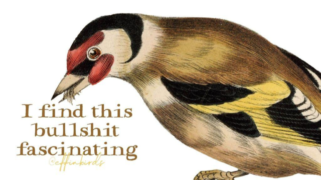 A painting of a bird next to the words "I find this bullshit fascinating"