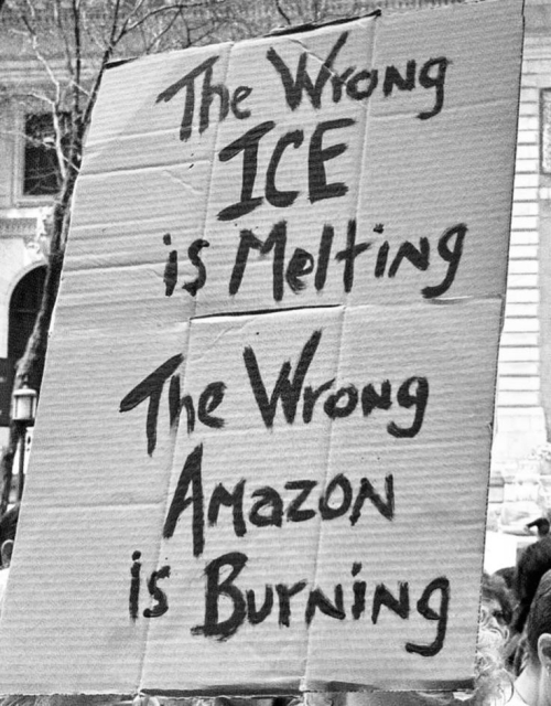 Protest-Schild mit der Aufschrift „The wrong ICE is Melting. The wrong Amazon is Burning.“
