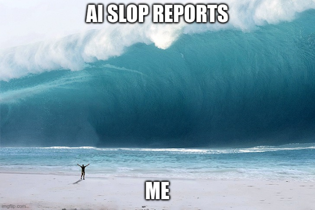 "AI slop reports" and a huge tsunami-like wave coming against a small human on the beach next to the label "me"