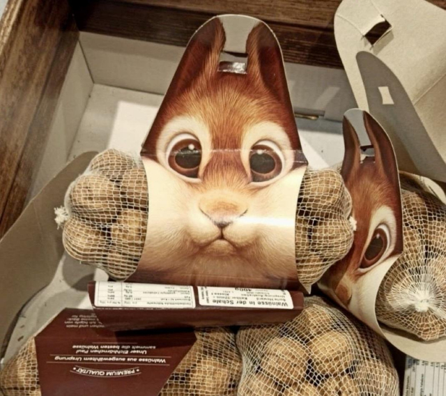 A creative packaging design features the face of a cute squirrel on top, with nets of walnuts peeking out from the bottom. The package is arranged in a display box, emphasizing its playful and eye-catching aesthetic.