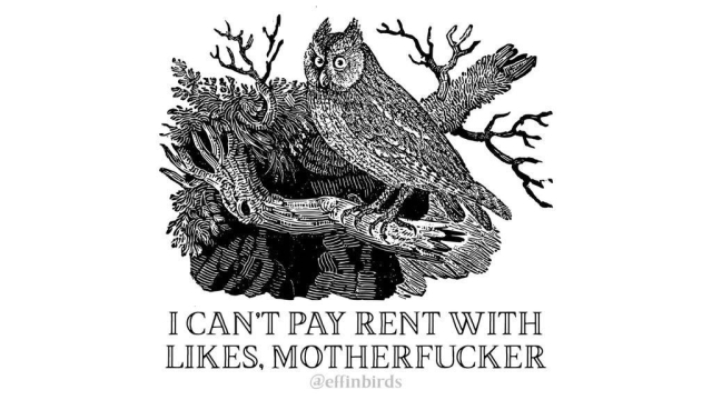 A painting of a bird next to the words "I can't pay my rent with likes, motherfucker"