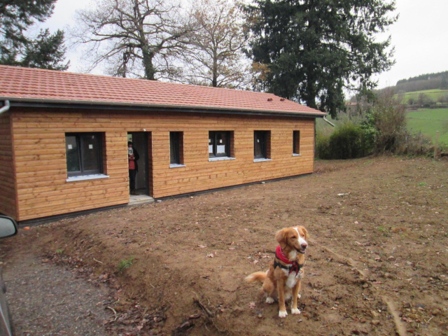 chien roux très mignon portant un bandana rouge et noir devant une maison en bois à la camapgne
