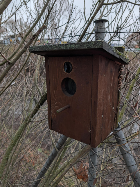 A cache masked as a bird box attached to a chain fence.