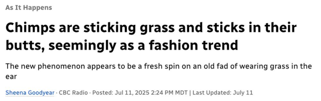 Chimps are sticking grass and sticks in their butts, seemingly as a fashion trend
--CBC, 11 Jul 2025