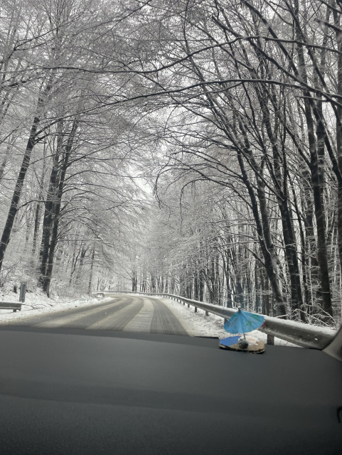 A winter scene featuring a snow-covered road winding through a forest of bare trees. Snow blankets the ground and branches, creating a serene, white landscape. In the foreground, a small decorative item resembling an umbrella is placed on the dashboard of a vehicle.