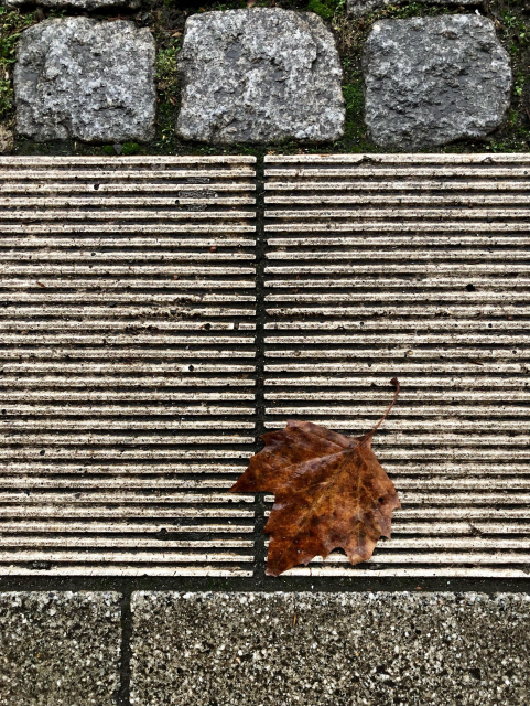 a brown leaf is lying on the ground at a tramway station. The pavement makes a nice geometrical background for it, and the leaf stands out not just because of its colour, but also because it breaks the symmetry of the pattern. 