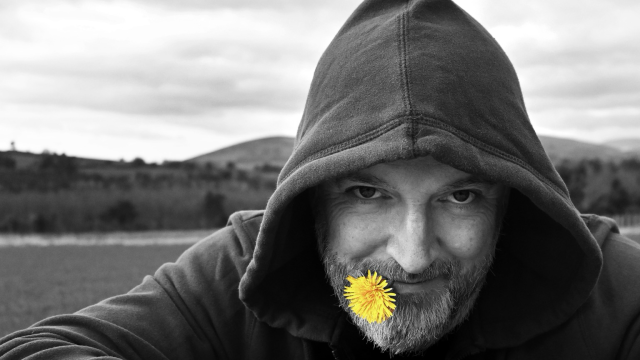 Black and white image of the Bee Guy, hoodie up, fields and hills behind. Yellow dandelion held in his mouth.