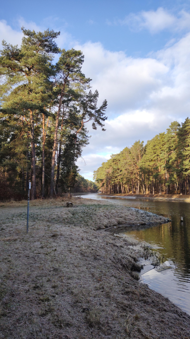 Blick auf den Oder-Spree-Kanal. Im Vordergrund Wiese, rechts der Kanal, auf der anderen Seite gesäumt von Kiefern. Im Hintergrund große Kiefern, die von der Sonne beschienen werden. Der Himmel ist blau mit dicken Wolken, das Gras leicht überfroren.