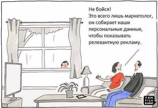 Чёрно-белый комикс. В комнате на диване сидят мужчина и женщина. Перед ними телевизор, рядом стол с лампой и растением. За окном, между занавесками, снаружи заглядывает мужчина, похожий на подглядывающего наблюдателя. Женщина успокаивает мужчину и говорит: «Не бойся! Это всего лишь маркетолог, он собирает наши персональные данные, чтобы показывать релевантную рекламу». Комизм в том, что сбор данных показан буквально как человек, следящий через окно.