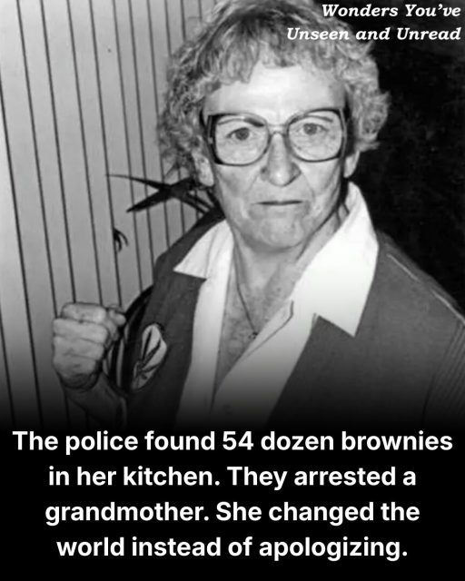 Black-and-white photo of an older woman whose ready fist looks like she's about to punch the camera. Her clothes and glasses are authentic late '70s early '80s. There's a decorative patch on her shirt that depicts a marijuana leaf. Watermark says "Wonders You've Unseen and Unread" because that's the Facebook account this comes from. Text reads "The police found 54 dozen brownies in her kitchen. They arrested a grandmother. She changed the world instead of apologizing."

https://www.facebook.com/permalink.php?story_fbid=pfbid0hSm5PzqzCRJGRP34UAiqh4Gov1PfuMYQwJpyDrPr3oLGyY3WiBLDuzoensGGv73Ql&id=61560890444242 