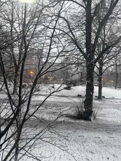 Blick aus dem Fenster unseres Wintergartens. Man sieht eine schneebedeckte Straße und Rasenfläche, noch völlig unberührt, und im Hintergrund auch diverse Bäume, deren Äste voller Schnee sind. Alles ist ruhig und friedlich. Bildbeschreibung erstellt aus dem eigenen Kopf nach einer Beschreibung einer KI.